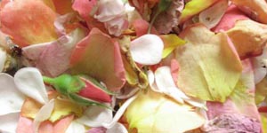 recette desodorisants alternatifs