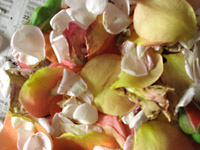 pot pourri