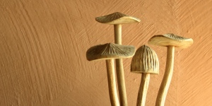 recette peinture chaux bross�e