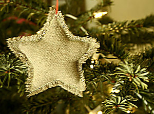 noel etoile lin