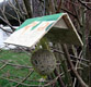 mangeoire oiseaux