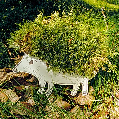 hérisson avec mousse