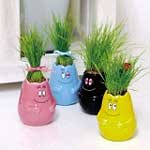 kit de plantation Barbapapa