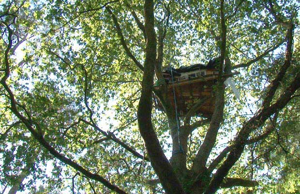 cabane dans les arbres