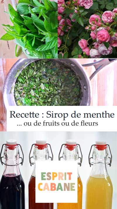 Pinterest sirop menthe