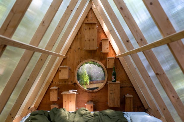 cabane Bird Hut