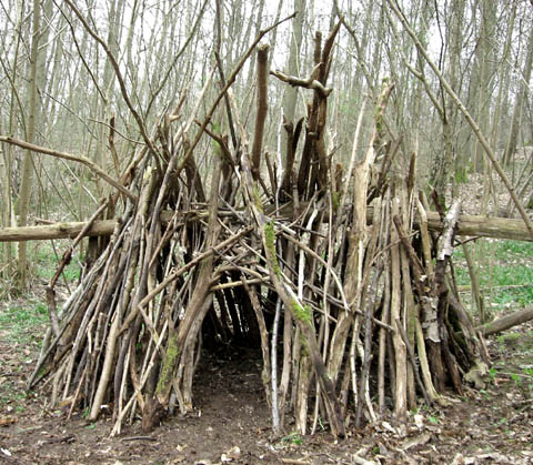 cabane cahute arbre