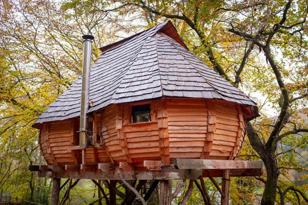 cabane dans les arbres