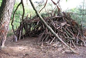 cabane igloo