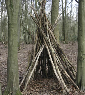 Construire soi-même sa cabane dans la forêt