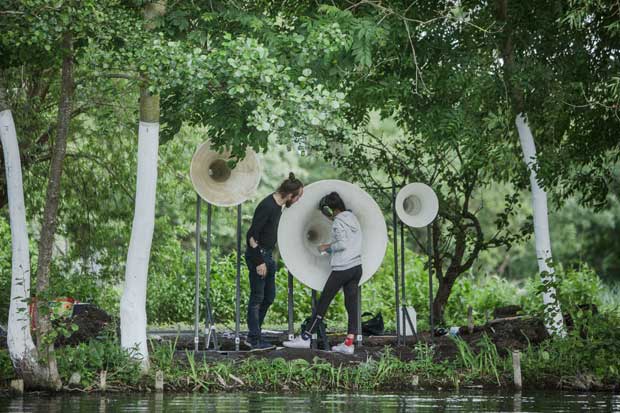 Jardins : Festival des Hortillonnages d’Amiens