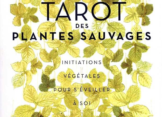 Livre : Le tarot des plantes sauvages