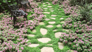 Jardin : Les (très) bonnes idées des paysagistes