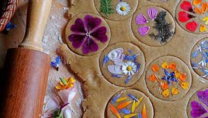 Cuisine sauvage : Les biscuits aux fleurs du jardin