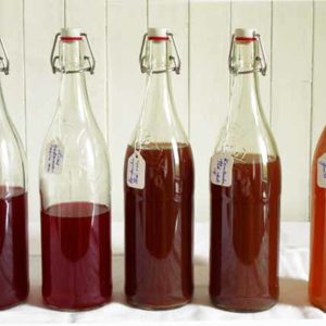 Santé : Découvrir 3 recettes de boissons fermentées