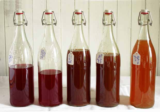 Santé : Découvrir 3 recettes de boissons fermentées