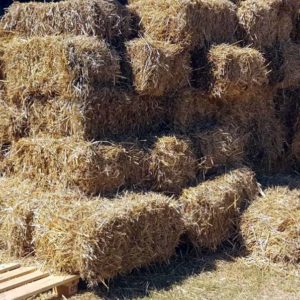 Auto-construction : Projet petite maison bois paille