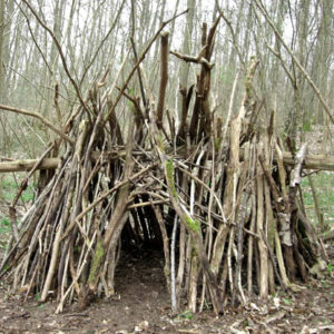 Cabanes des bois