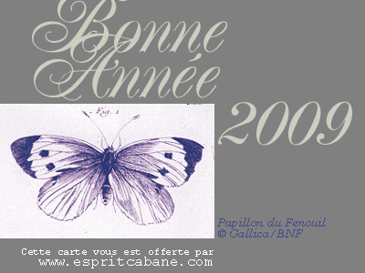 Cartes de voeux 2009