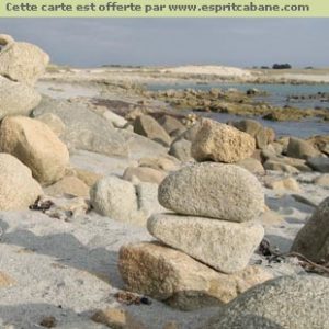 Cartes de voeux 2011