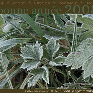 Cartes de voeux virtuelles