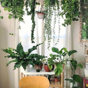 Bien-être : 6 trucs qui apportent une énergie positive à votre maison