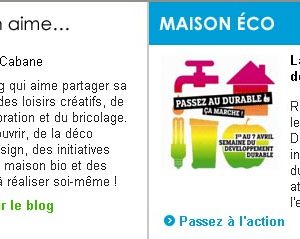 Semaine du développement durable :Castorama aime Esprit Cabane