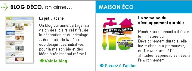 Semaine du développement durable :Castorama aime Esprit Cabane