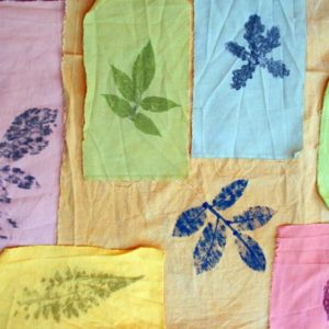 DIY Enfants : Impression végétale