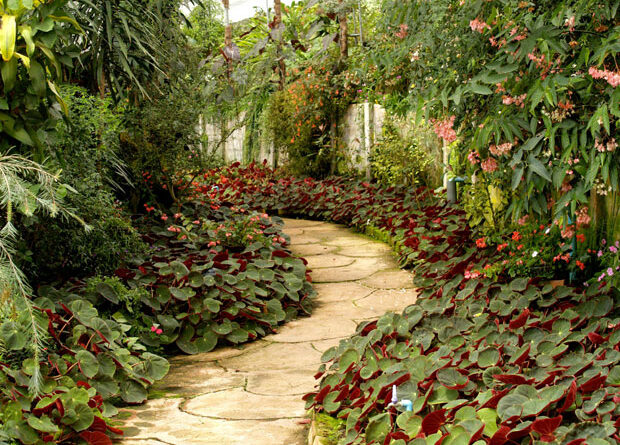 jardin allée pierres