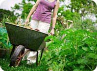 partager jardin potager