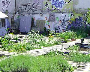 Découverte : Les jardins solidaires