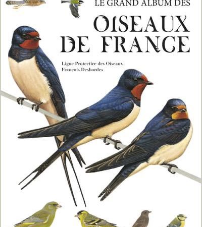 #htmlcaption_7245 Le grand album des oiseaux de France