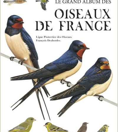 Le grand album des oiseaux de France