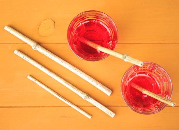 #htmlcaption_11254 DIY : des pailles en bambou