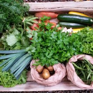 Bio et local : 10 (bonnes) raisons de s&rsquo;abonner à un panier de légumes
