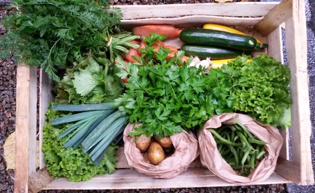 Bio et local : 10 (bonnes) raisons de s’abonner à un panier de légumes