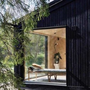 Recettes : L&rsquo;huile et les peintures au goudron de pin Trätjära