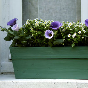 Recette : Peinture à l&rsquo;huile de lin