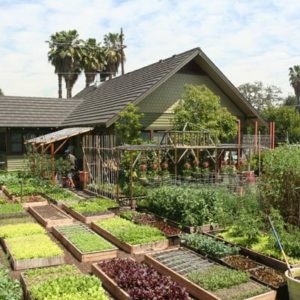 La permaculture ou cultiver, habiter, travailler autrement