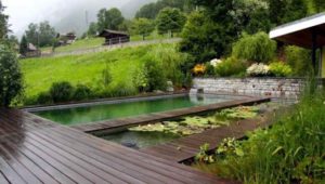 Découverte : Créer une piscine naturelle dans son jardin