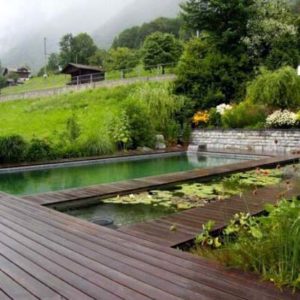 Découverte : Créer une piscine naturelle dans son jardin