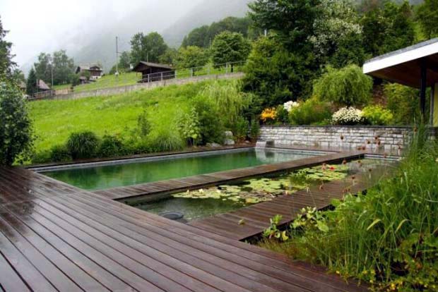 Découverte : Créer une piscine naturelle dans son jardin