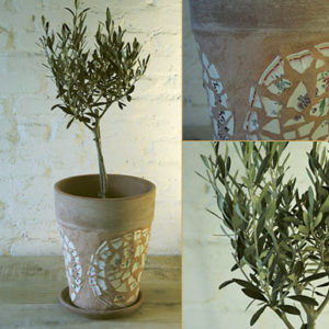 Pot faïence brisée