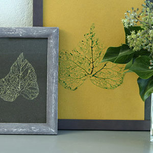 Idée créative : Feuilles d&rsquo;arbres squelettisées