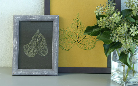 #htmlcaption_1578 Feuilles d’arbres squelettisées