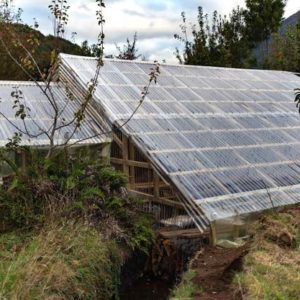 Potager : Découvrir les avantages des serres semi-enterrées