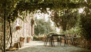 Extérieur : Quelles plantes choisir en jardinerie pour créer rapidement un coin repas ombragé ?