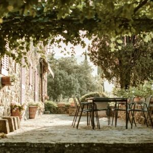 Extérieur : Quelles plantes choisir en jardinerie pour créer rapidement un coin repas ombragé ?