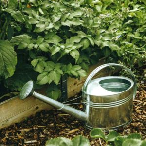 Potager : Fertiliser le sol avec de l’urine, <br>de la cendre et des coquilles d’oeufs !